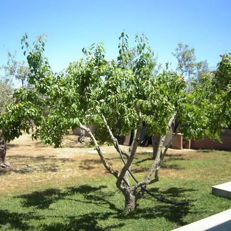Giovanni House Kır Evi *